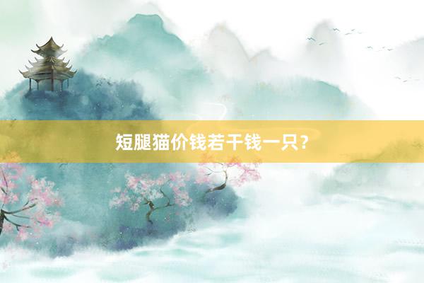 短腿猫价钱若干钱一只？