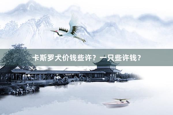 卡斯罗犬价钱些许?一只些许钱?
